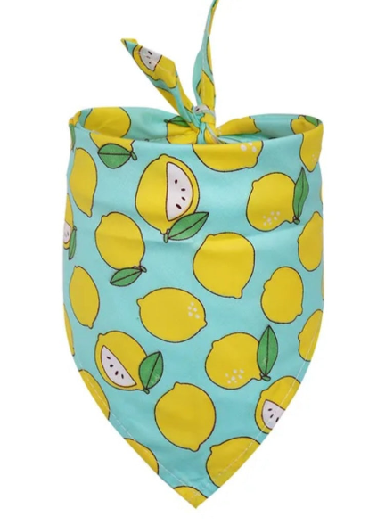 Tropical Fruit Bandanas