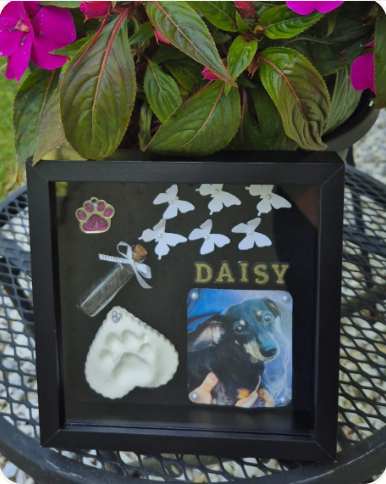 Customized Pet Memorial Shadow box