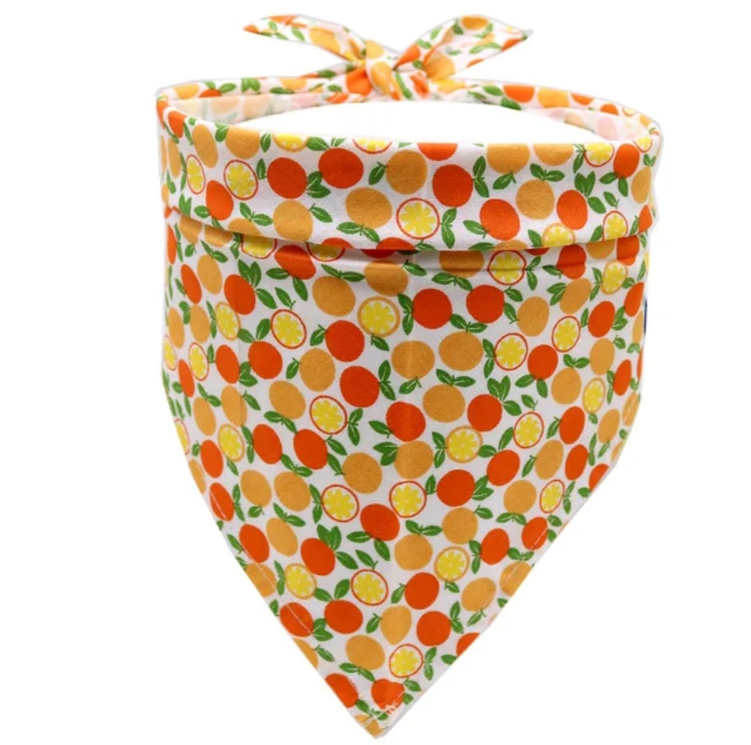 Tropical Fruit Bandanas