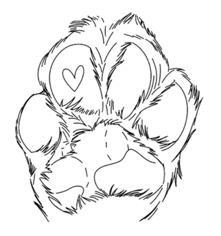 Leather Patches